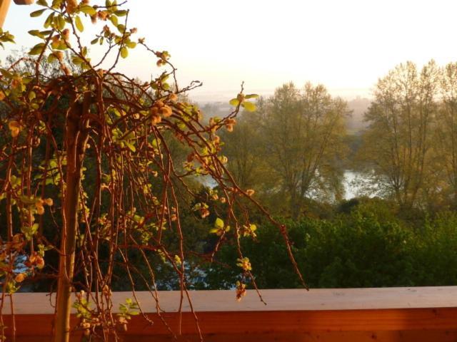 Le Dormeur Du Val Bed & Breakfast Le Mas-dʼAgenais Oda fotoğraf