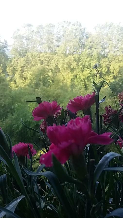 Le Dormeur Du Val Bed & Breakfast Le Mas-dʼAgenais Dış mekan fotoğraf