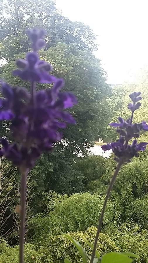 Le Dormeur Du Val Bed & Breakfast Le Mas-dʼAgenais Dış mekan fotoğraf